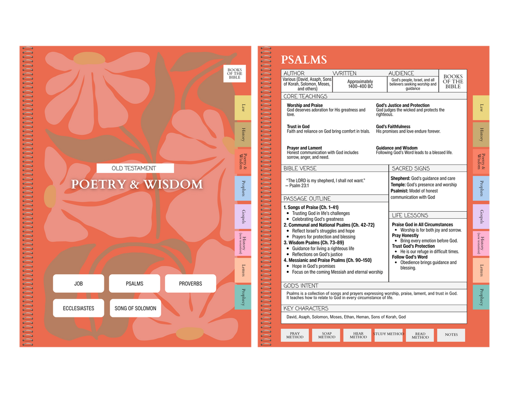 Digital Bible Study Guide | SUMMER IN ROME