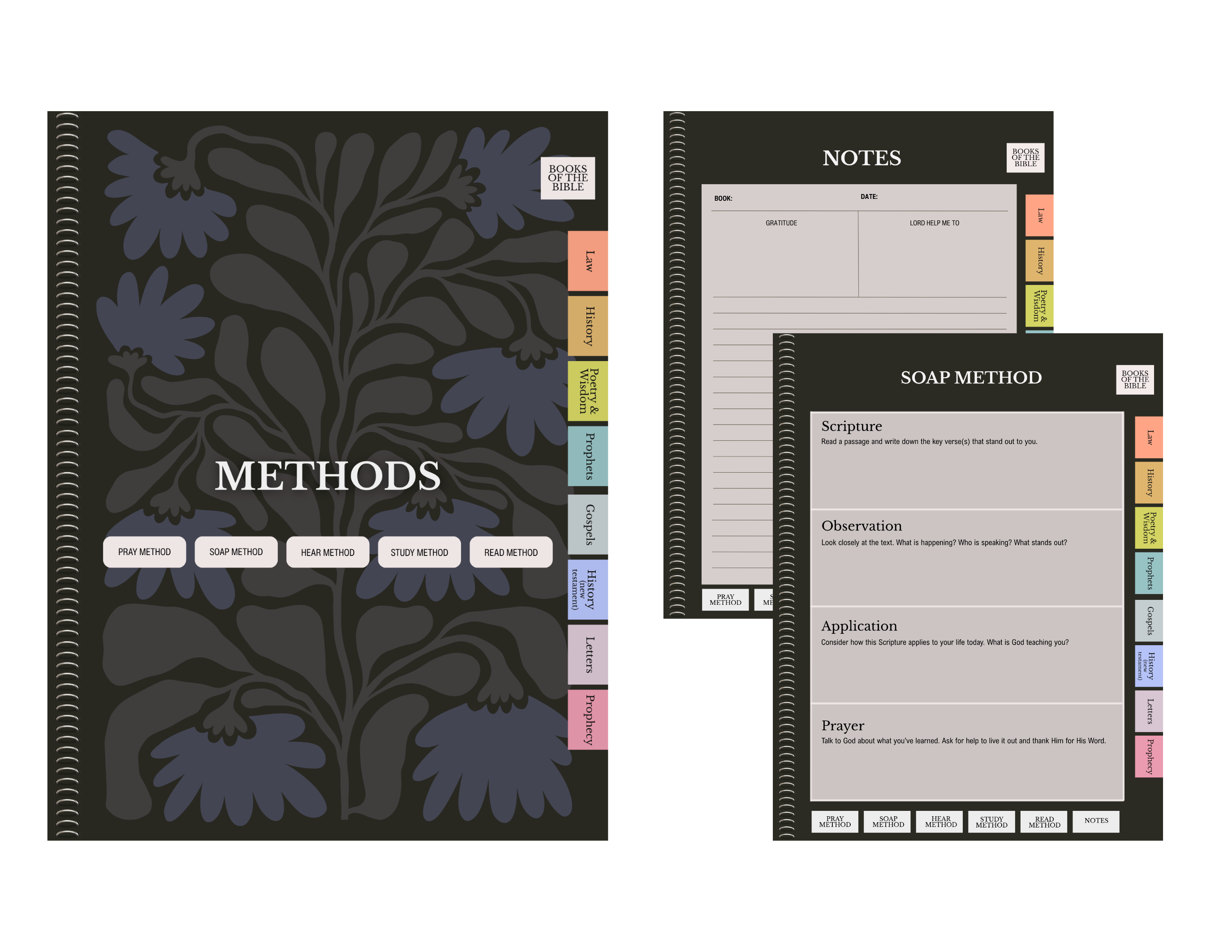 Digital Bible Study Guide | EMBODY