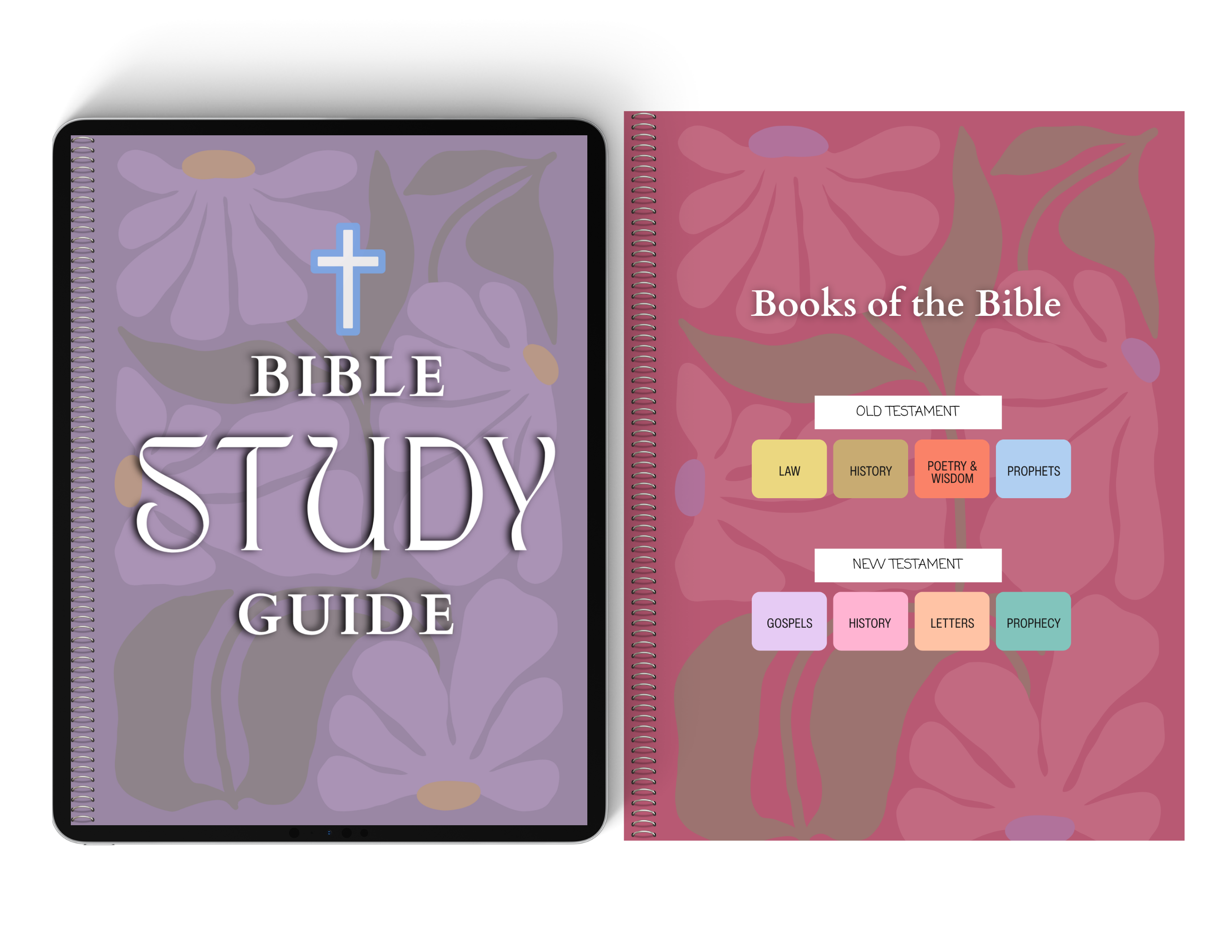 Digital Bible Study Guide | SUMMER IN ROME